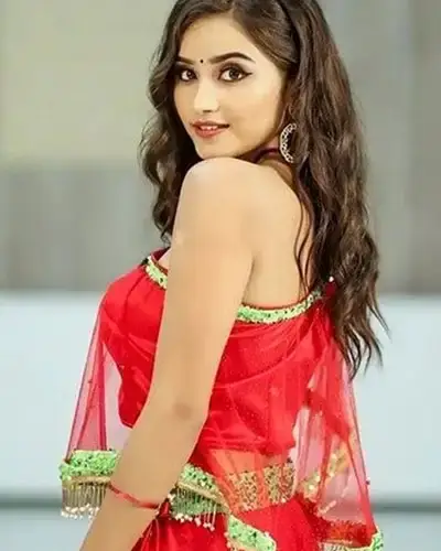 Call Girls Service Nalkheda